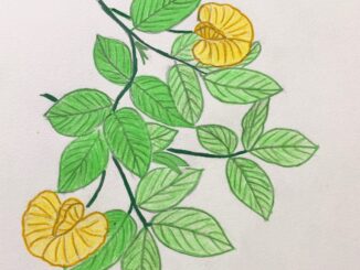 Vẽ hoa vàng trên cỏ xanh