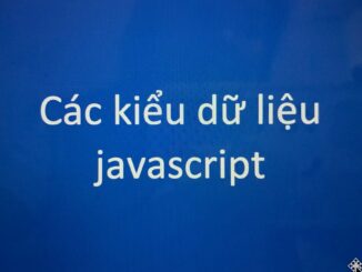 Các kiểu dữ liệu javascript