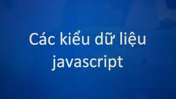 Các kiểu dữ liệu javascript