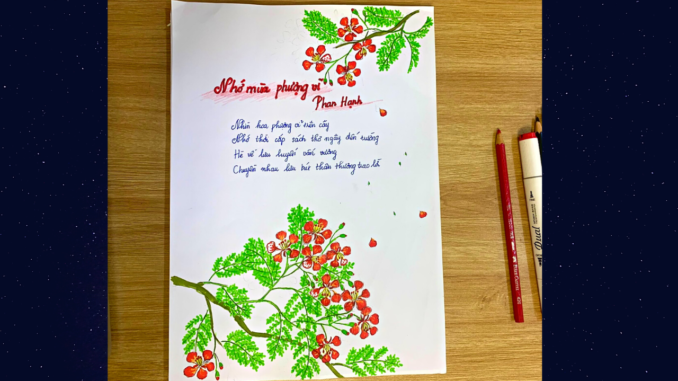 trang-tri-bao-tuong-hoa-phuong trang trí báo tường hoạ tiết hoa phượng