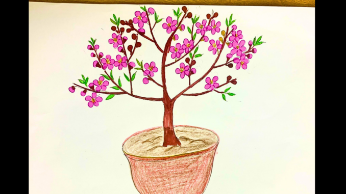 Vẽ cây hoa đào